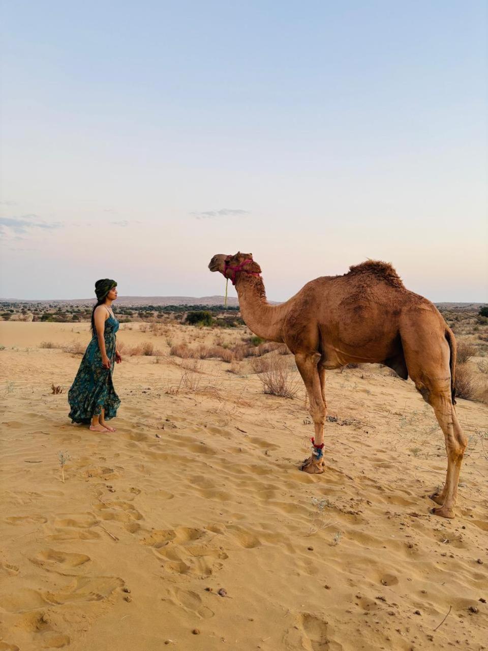 Crazy Camel Hotel & Safari Džaisalmér Exteriér fotografie